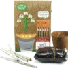 Plant a Pencil Kit