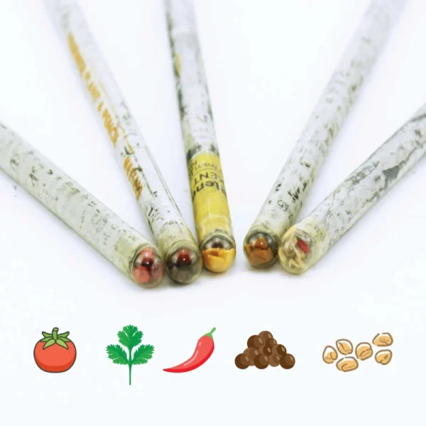 Plant a Pencil Kit
