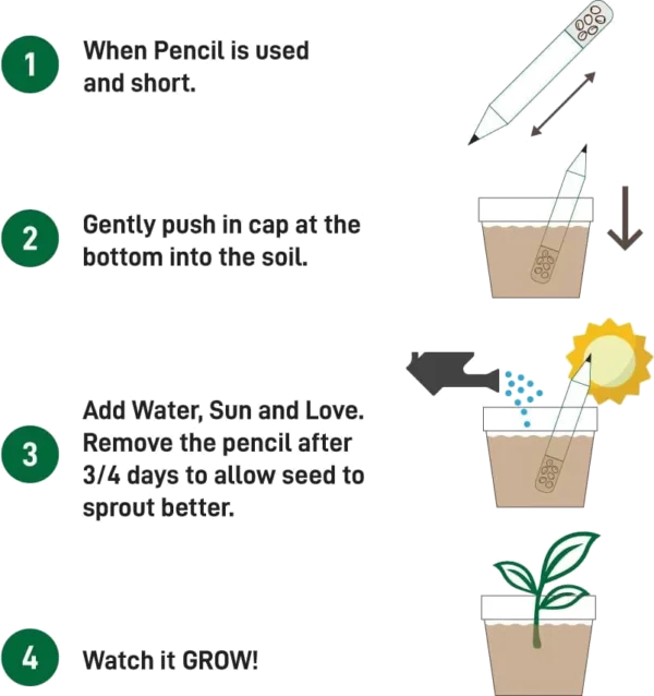 Plant a Pencil Kit