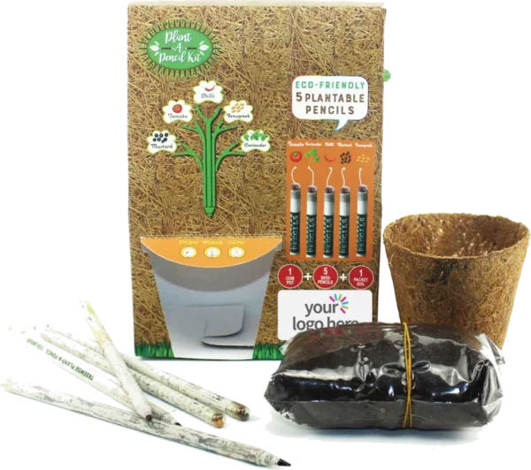 Plant a Pencil Kit
