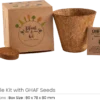 Ghaf Seed Planting Kit in Kraft Box