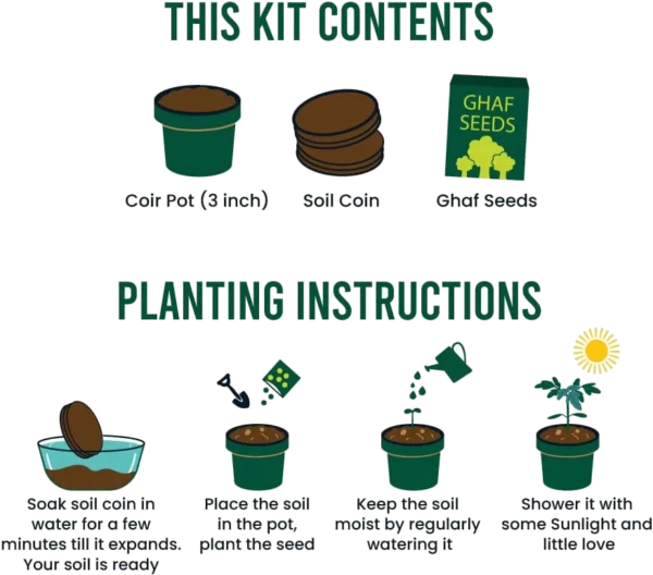 Ghaf Seed Planting Kit in Kraft Box