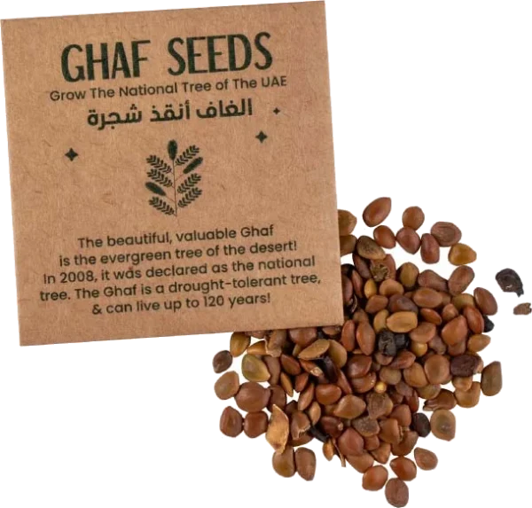 Ghaf Seed Planting Kit in Kraft Box