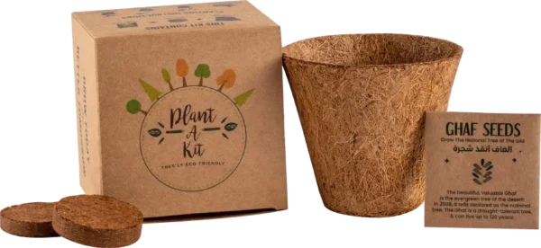Ghaf Seed Planting Kit in Kraft Box