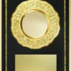 A3 Award Plaque with Gold Plate
